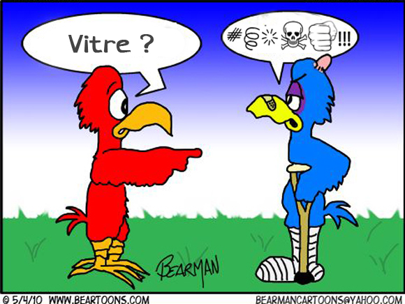 J'ai trouvé un OISEAU BLESSE : que faire